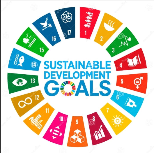 Onze impact op de Sustainable Development Goals (SDG’s)